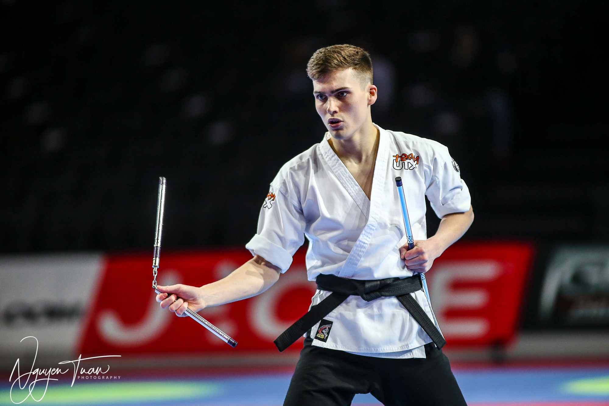 20190324 Festival des Arts Martiaux 0252